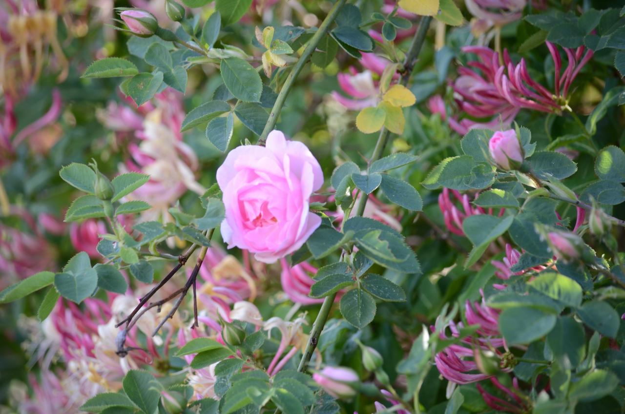 Degebergagarden B&B 外观 照片